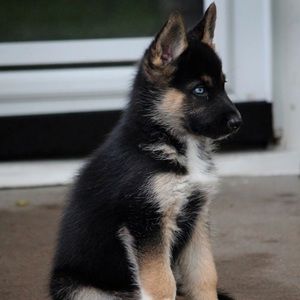 Meet your Posher, Aziel